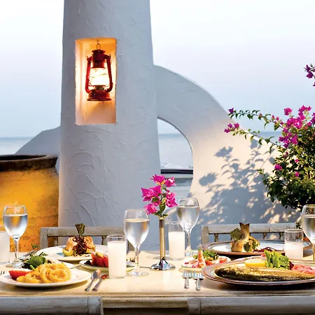 Paloma Pasha 5* Оздере