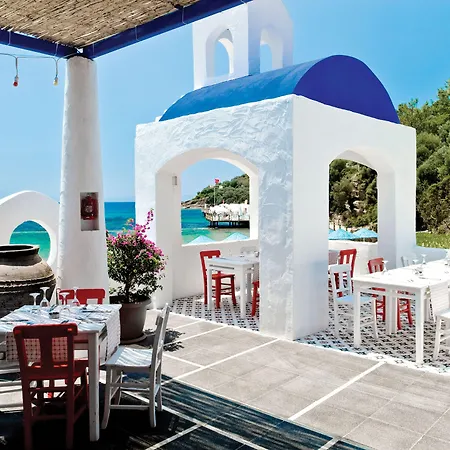 Paloma Pasha 奥兹德雷