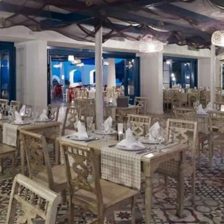 Paloma Pasha