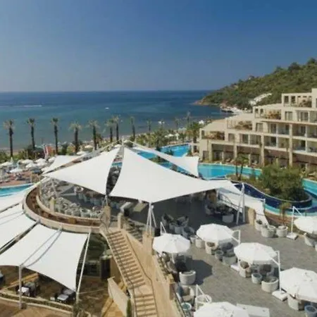 Paloma Pasha 奥兹德雷