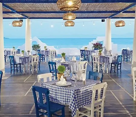 Paloma Pasha 奥兹德雷