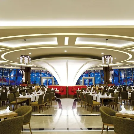 Paloma Pasha 奥兹德雷