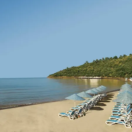 度假村 Paloma Pasha