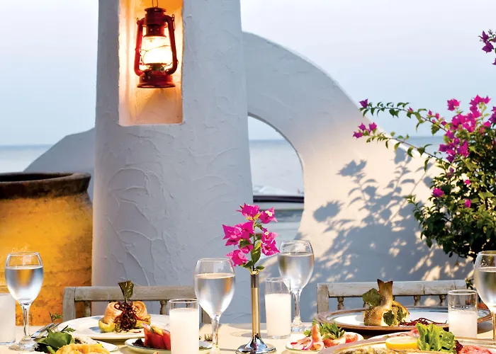 Paloma Pasha 5* Özdere