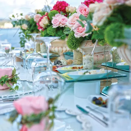 Complex Paloma Pasha