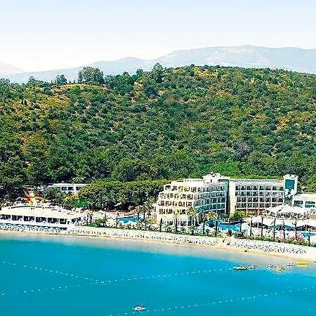 Paloma Pasha